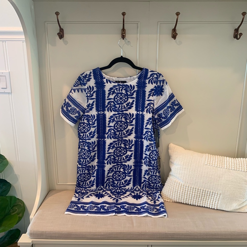 Clad and Cloth x Lulus Embroidered Dress